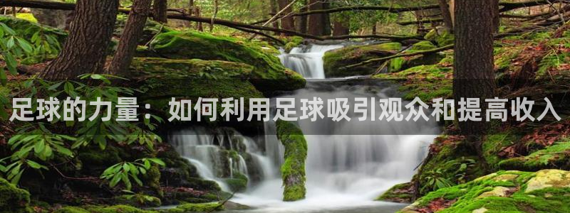 足球的力量：如何利用足球吸引观众和提高收入
