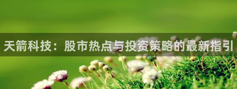 天箭科技：股市热点与投资策略的最新指引