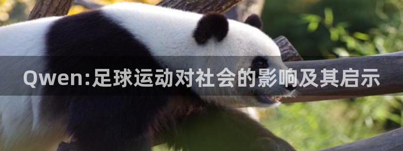 Qwen:足球运动对社会的影响及其启示